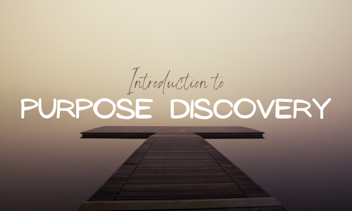 Introduction to Purpose Discovery