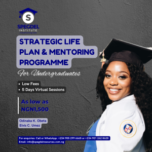 Strategic Life Plan Programme