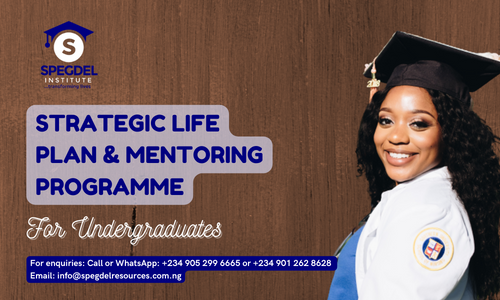 Strategic Life Plan Programme